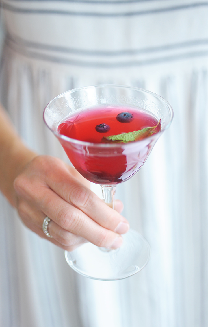 Perfect blueberry lemonade mint cocktail on aliceandlois.com