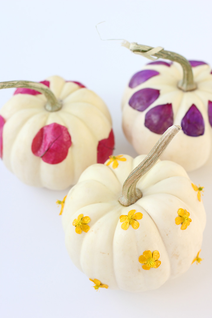 Decoupage Flower Pumpkins |alice & lois