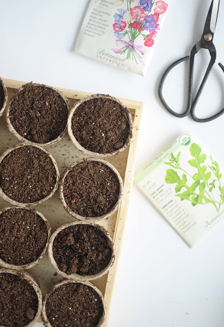 Free Printable Spring Party Invitation