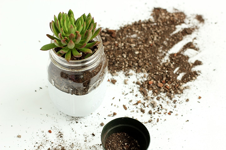 DIY Easy Macrame Plant Hanger