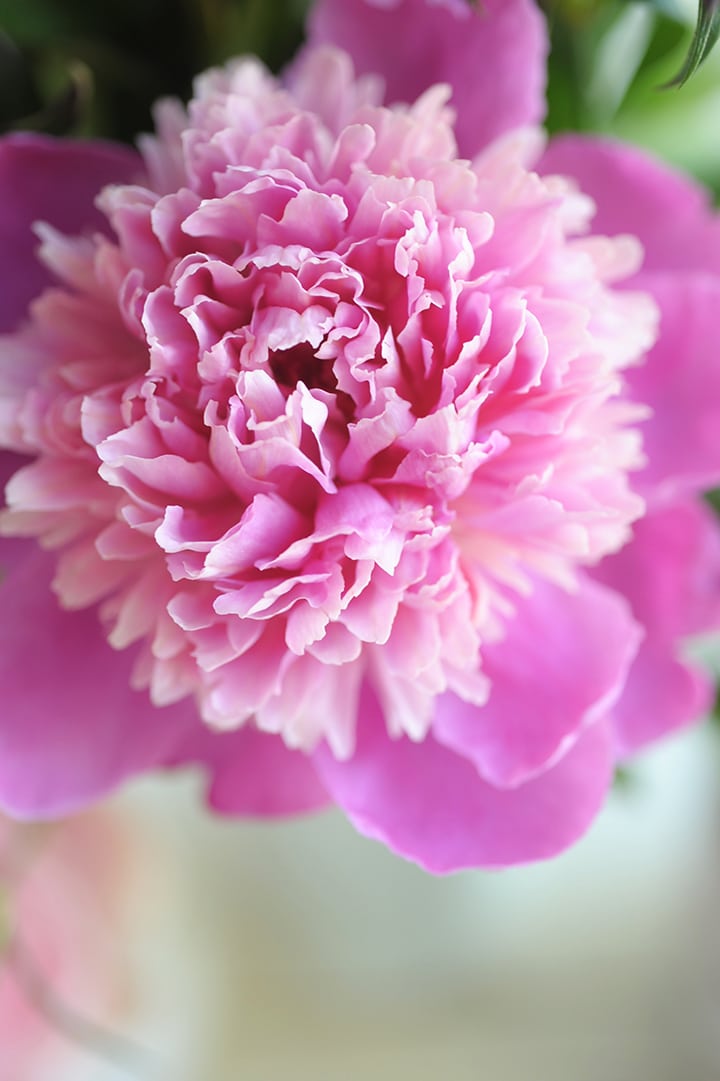 Free Printable Good Morning cards to keep your outlook fresh.