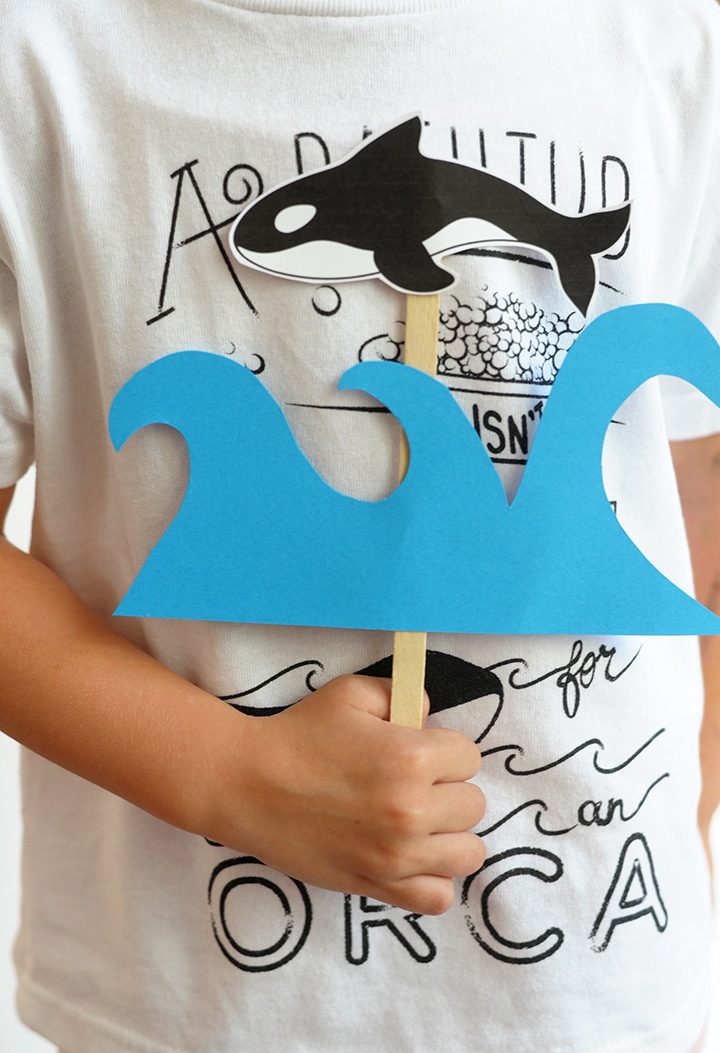 project orca