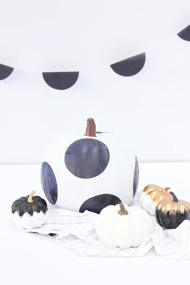 No Carve Pumpkin Ideas