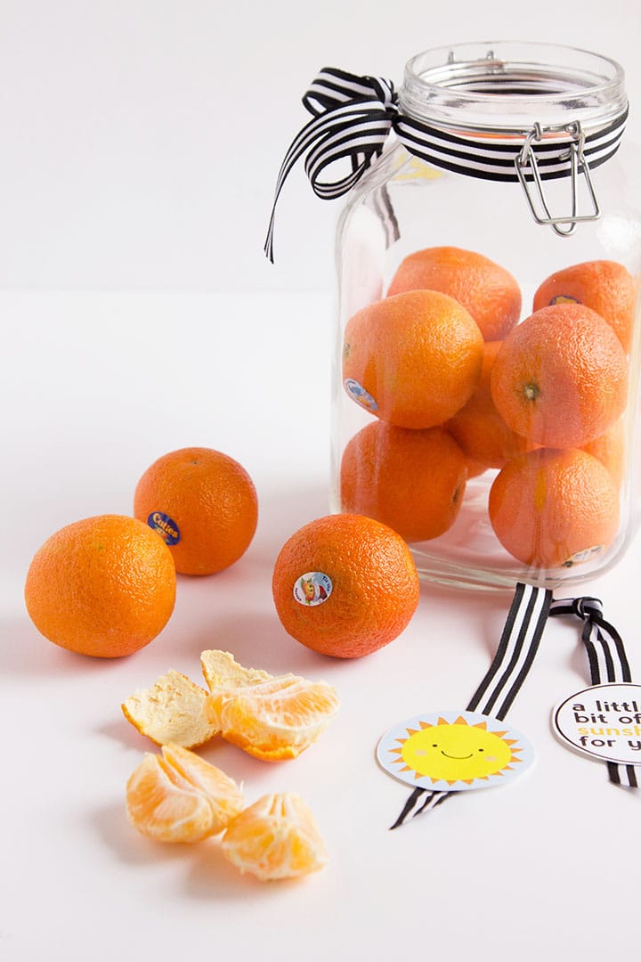 Share Some Sunshine Free Printable