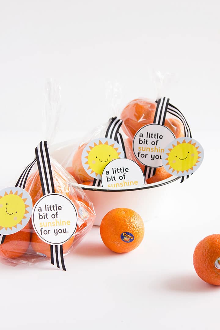 Share Some Sunshine Free Printable