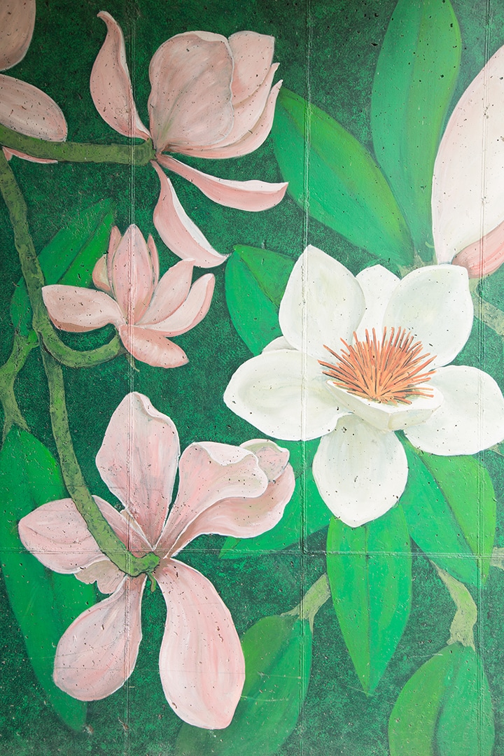 Indy-wall-mural-tour-16