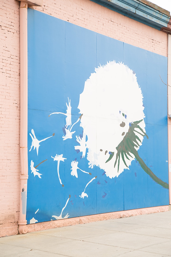 Indy wall murals