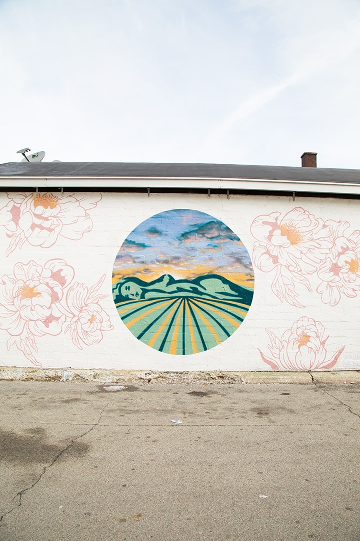 15 Favorite Outdoor Murals in Indianapolis
