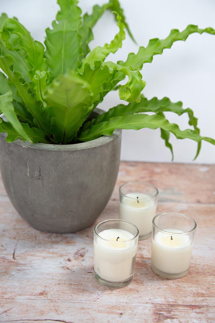DIY Citronella Candles