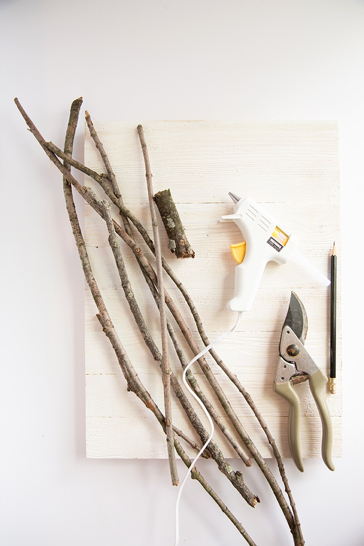 DIY Branch Pumpkin Wall Art supplies