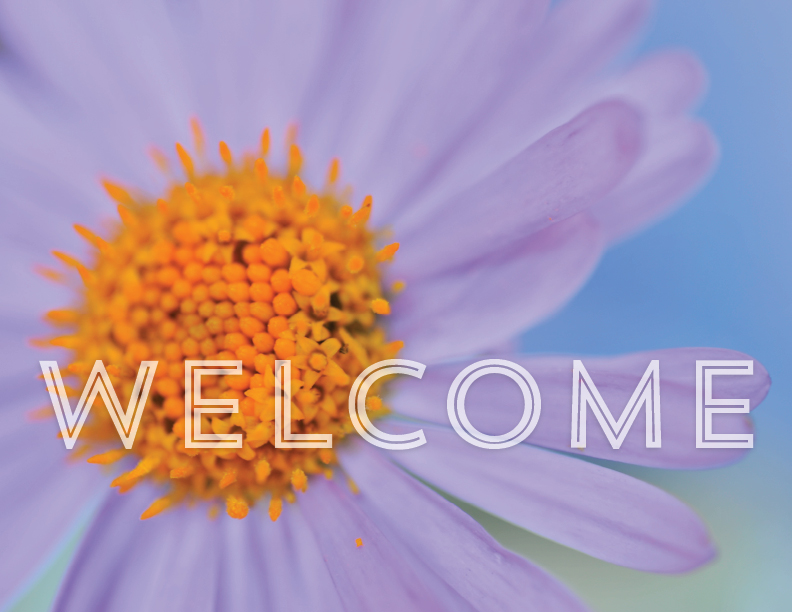 Welcome to the alice & lois blog