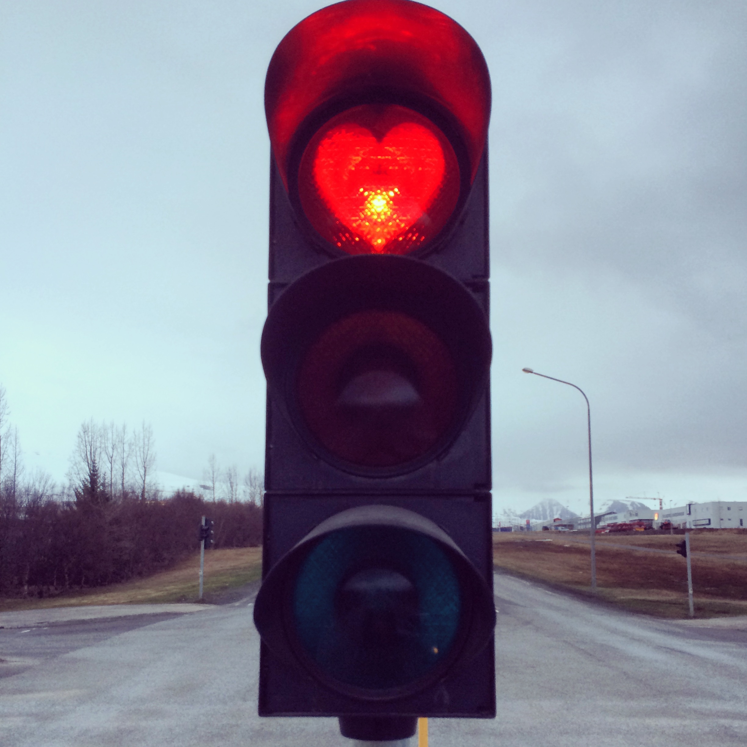 A little bit of everything