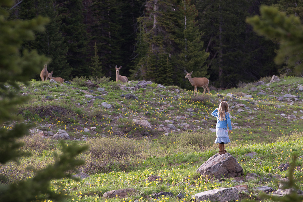 A little bit of everything