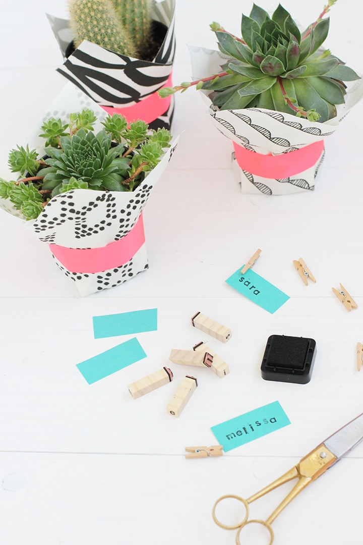 DIY Fabric Wrapped Succulent | alice & lois