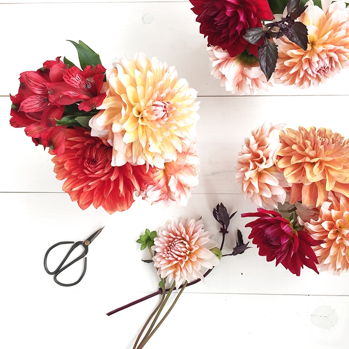 A Little Bit of Everything