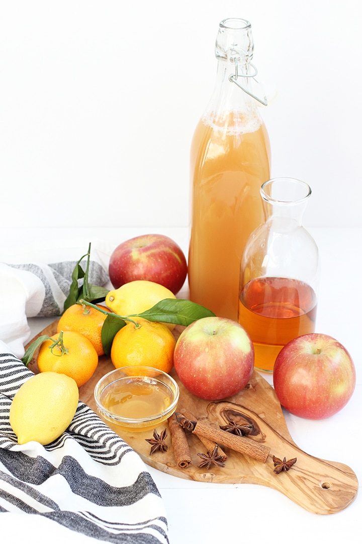 Apple Cider Hot Toddy Recipe