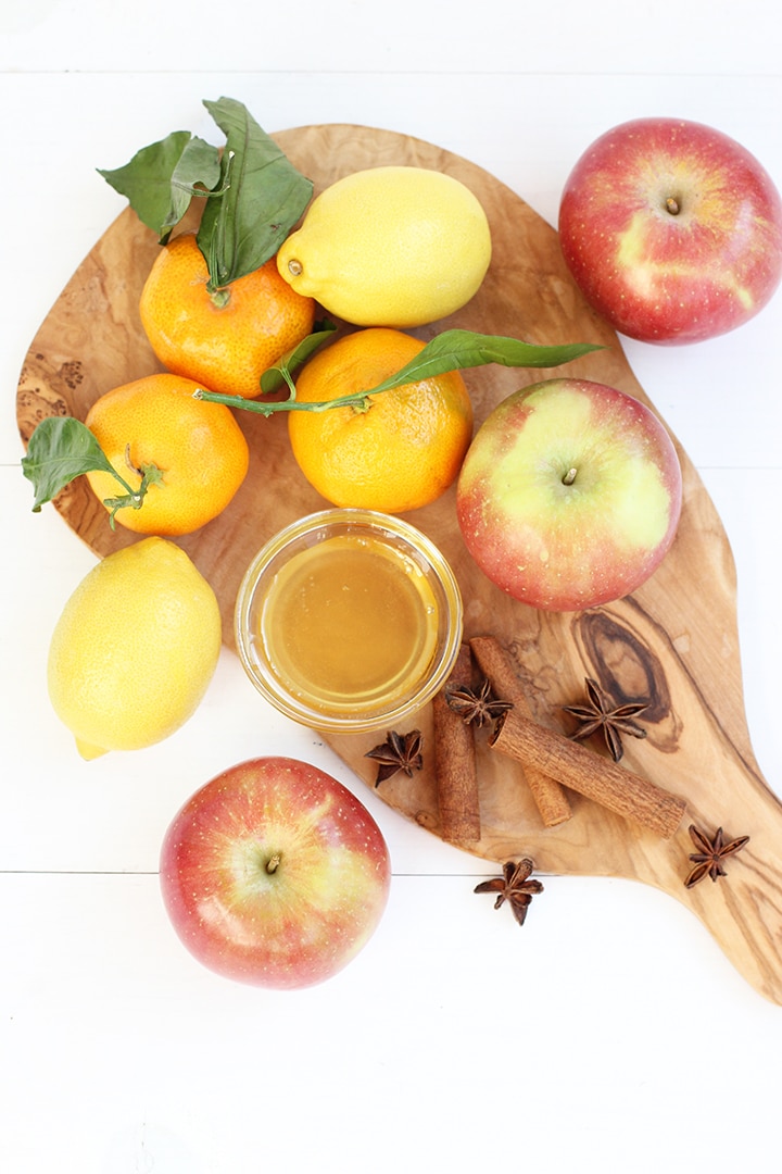 Apple Cider Hot Toddy Recipe