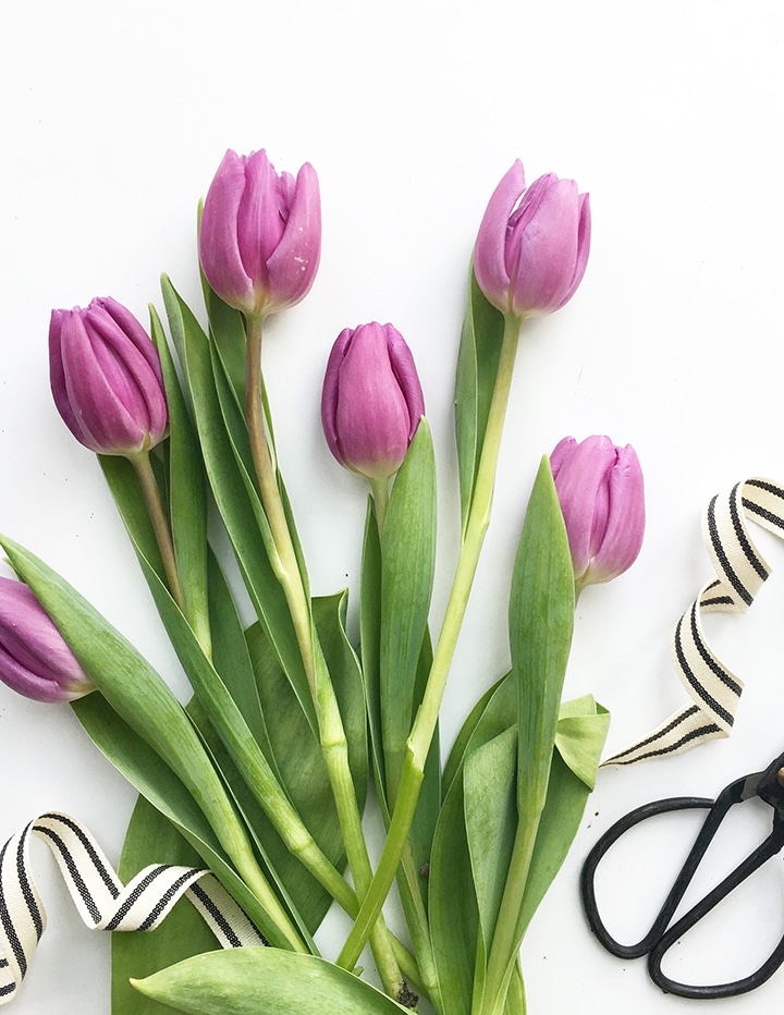 pretty tulips on a spring day