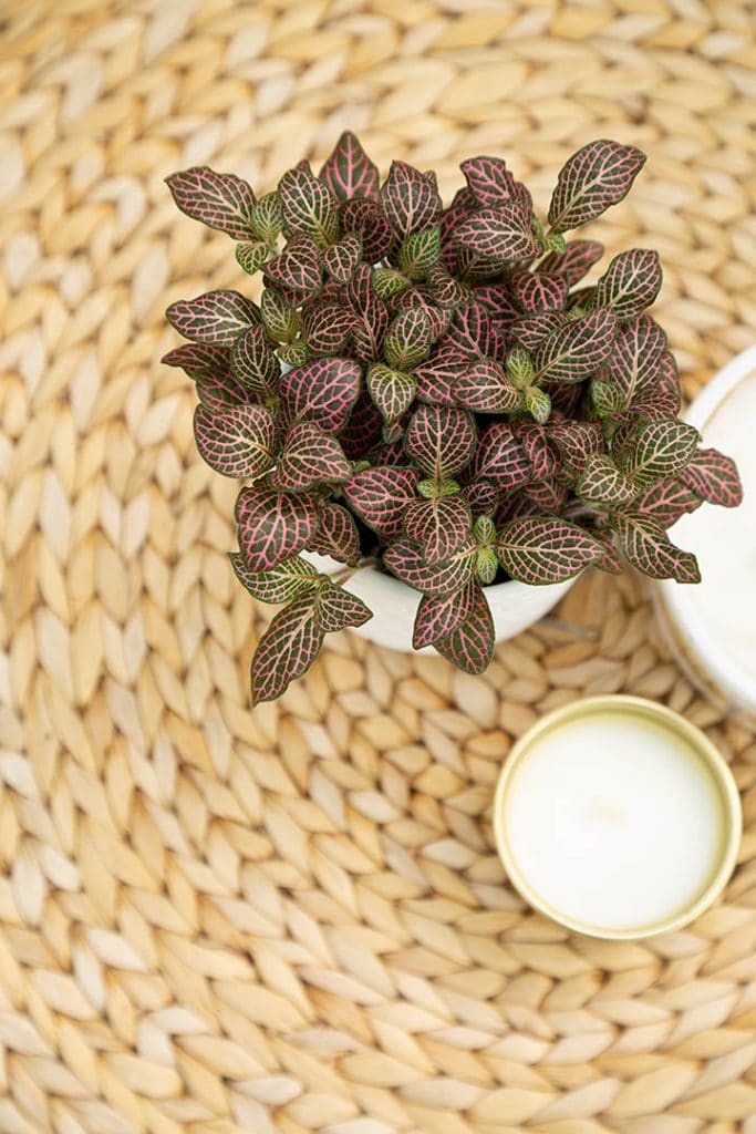 IKEA Hack Alseda Stool to Coffee Table 