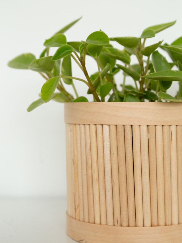 DIY Wood Dowel Planter